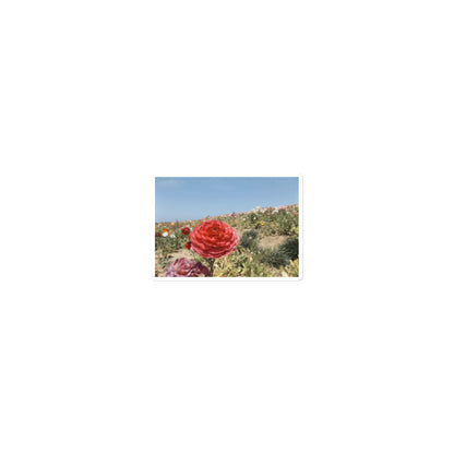 Carlsbad flower Field 2 stickers