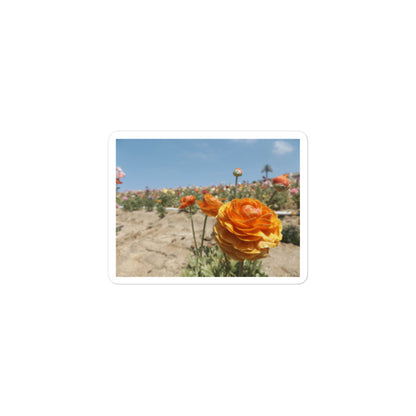 Carlsbad flower Field sticker