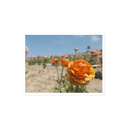 Carlsbad flower Field sticker